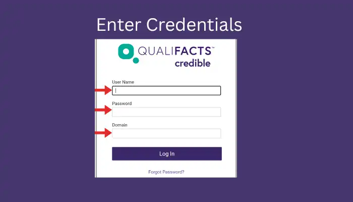 CredibleBH Login Window Screenshot CredibleBH Login Window Screenshot